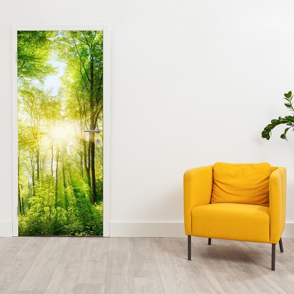 Fototapeta na dveře - Svítání v lese (95x205cm)