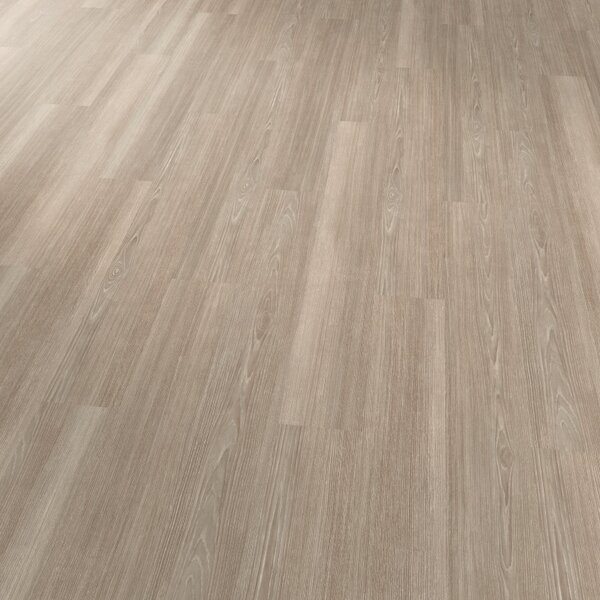 Vinylová podlaha Objectflor Expona Commercial 4020 Grey Ash 3,34 m²