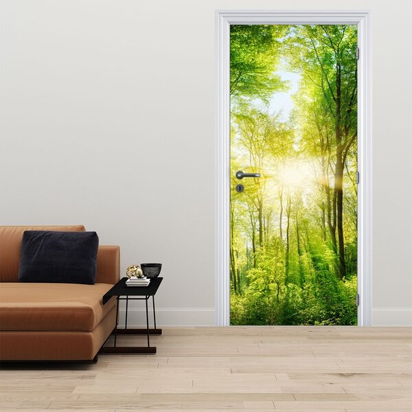 Fototapeta na dveře - Svítání v lese (95x205cm)