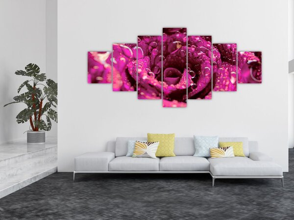 Obraz růžového květu růže (210x100 cm)