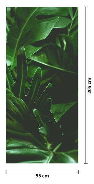 Fototapeta na dveře - Palmové listy (95x205cm)