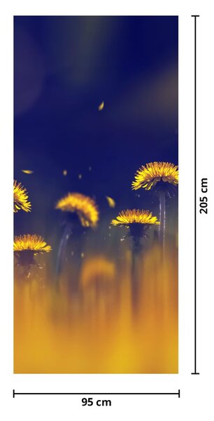 Fototapeta na dveře - Pampelišky (95x205cm)