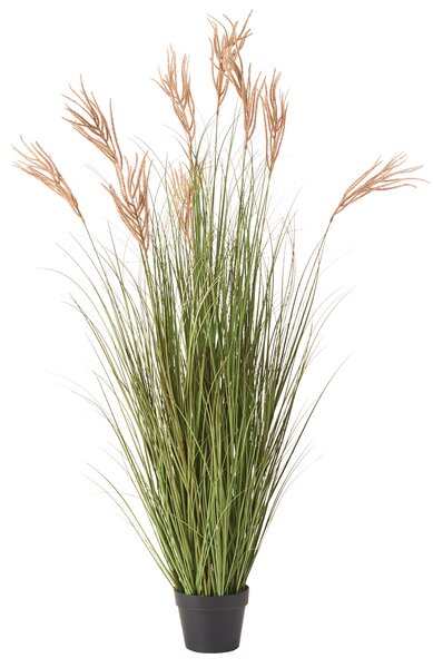 Umělá rostlina CLAW FLOWER 150 cm Zelená