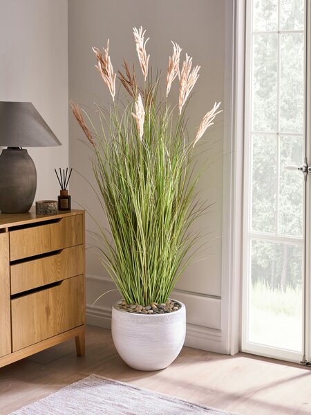 Umělá rostlina CLAW FLOWER 150 cm Zelená