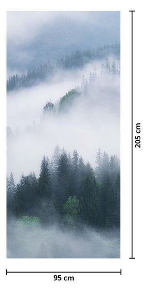 Fototapeta na dveře - Stromy v mlze (95x205cm)