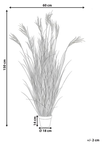 Umělá rostlina CLAW FLOWER 150 cm Zelená