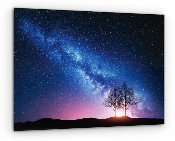 ALLboards Skleněný obraz MLÉČNÁ DRÁHA A STROM 60x40 cm