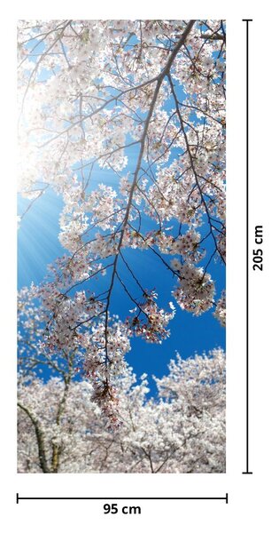 Fototapeta na dveře - Třešňové květy (95x205cm)
