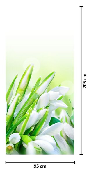 Fototapeta na dveře - Sněženky (95x205cm)