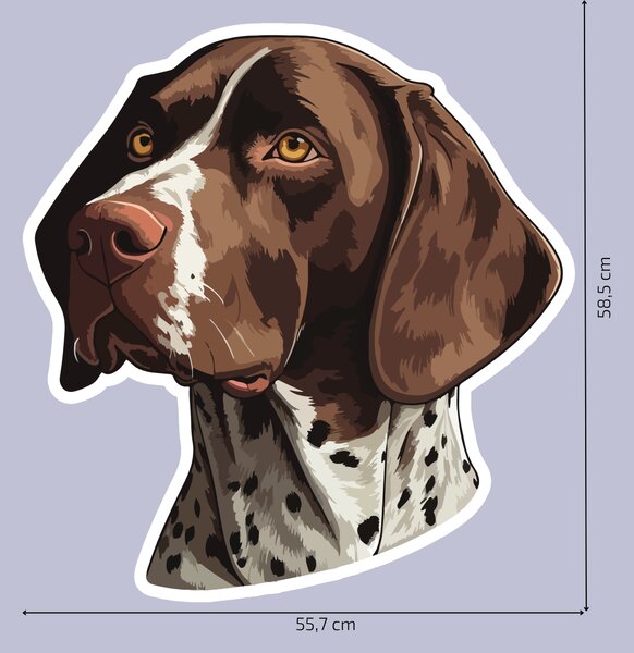 PIPPER. Nálepka Německý krátkosrstý ohař Velikost: 60cm