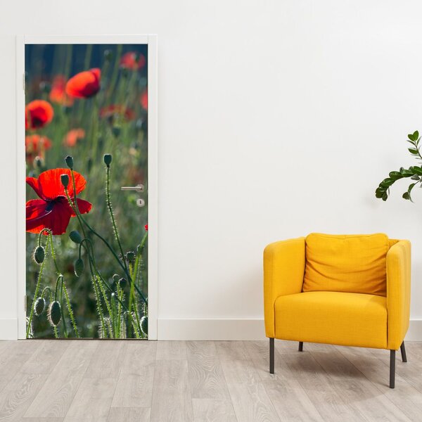 Fototapeta na dveře - Louka s Vlčími máky (95x205cm)