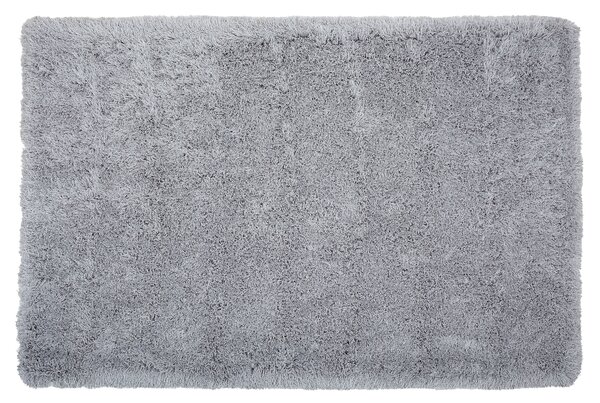 Chlupatý koberec CIDE Světle šedá 160 x 230 cm