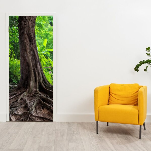 Fototapeta na dveře - Starý strom s kořeny (95x205cm)