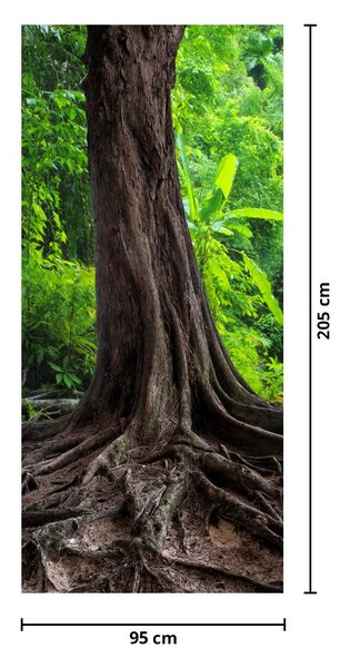 Fototapeta na dveře - Starý strom s kořeny (95x205cm)