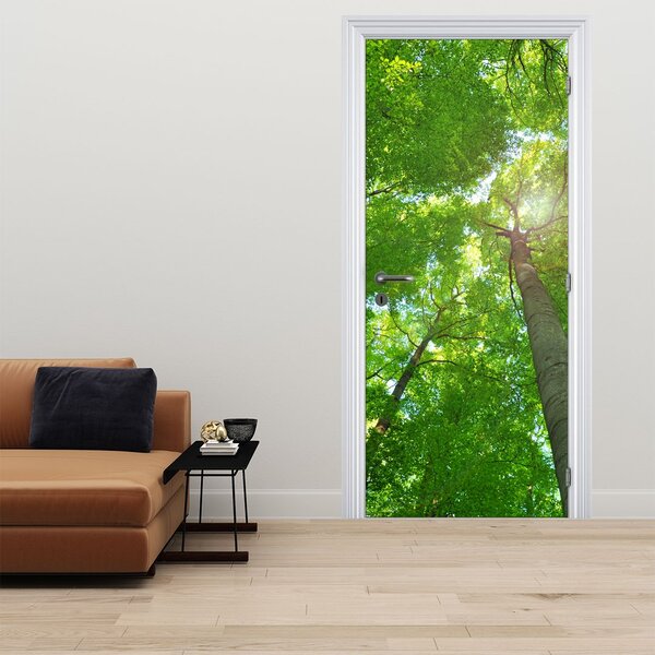 Fototapeta na dveře - Les (95x205cm)