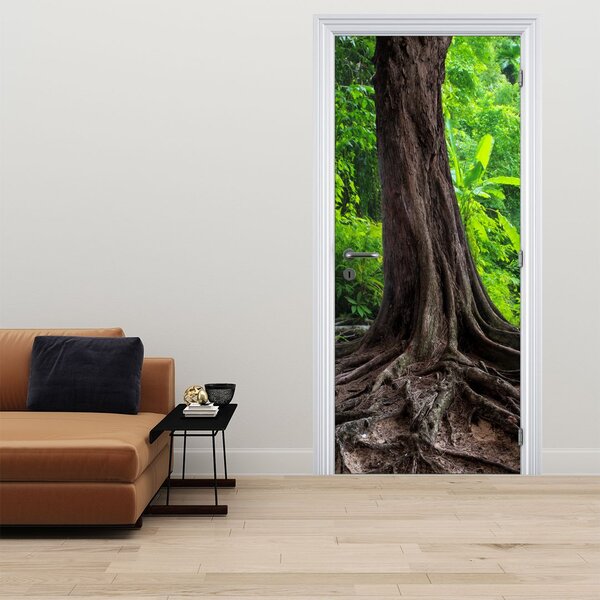 Fototapeta na dveře - Starý strom s kořeny (95x205cm)