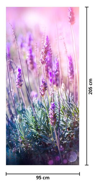 Fototapeta na dveře - Levandule ve třpytu slunce (95x205cm)