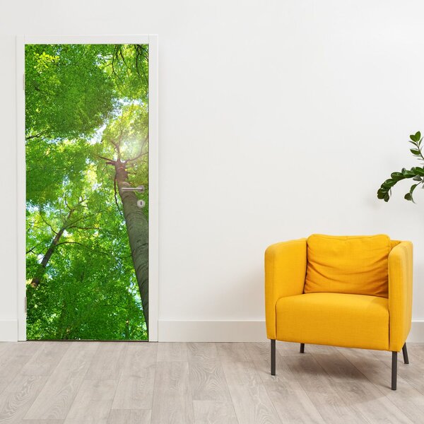 Fototapeta na dveře - Les (95x205cm)