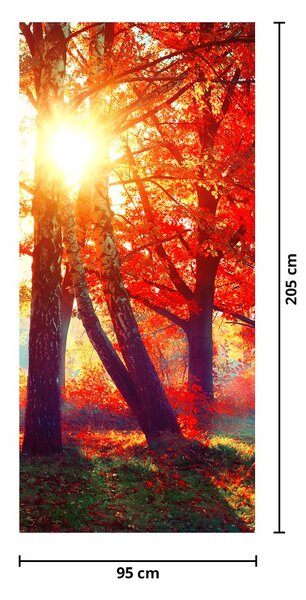 Fototapeta na dveře - Podzimní krajina (95x205cm)