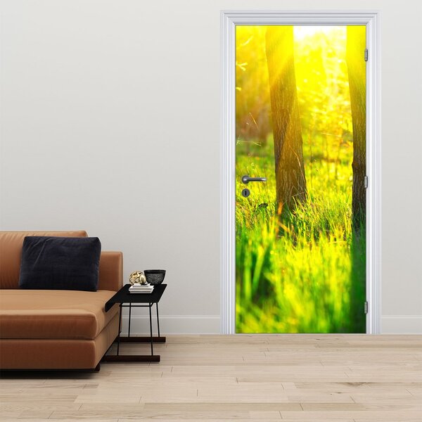 Fototapeta na dveře - Jarní probouzení lesa (95x205cm)