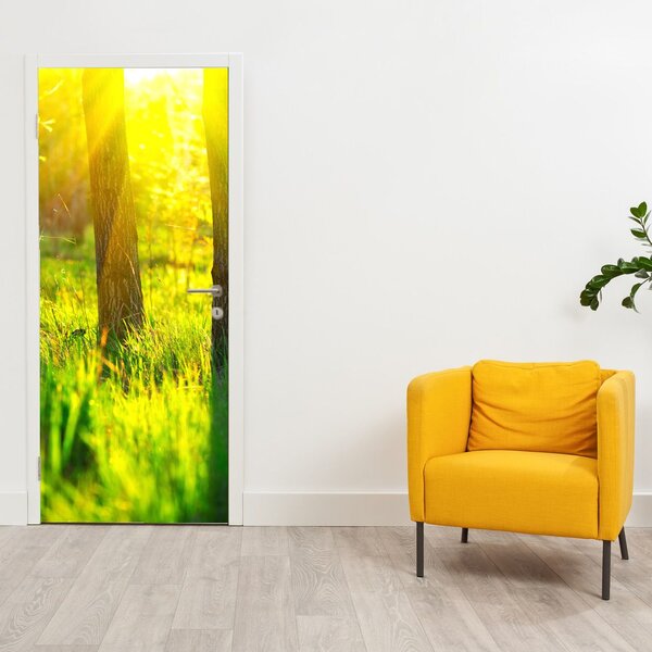 Fototapeta na dveře - Jarní probouzení lesa (95x205cm)