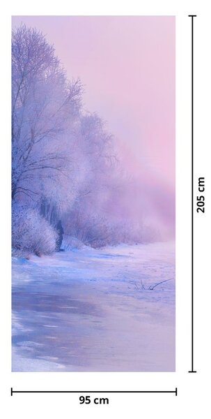Fototapeta na dveře - Zamrzlá řeka (95x205cm)