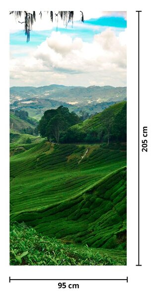 Fototapeta na dveře - Čajové plantáže v Malajsii (95x205cm)