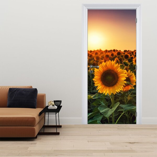 Fototapeta na dveře - Slunečnice (95x205cm)