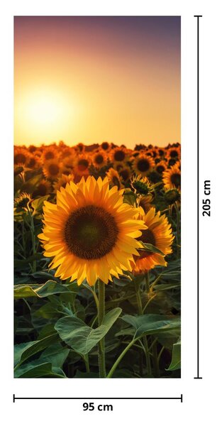 Fototapeta na dveře - Slunečnice (95x205cm)