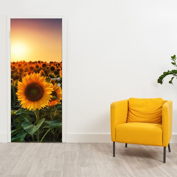 Fototapeta na dveře - Slunečnice (95x205cm)