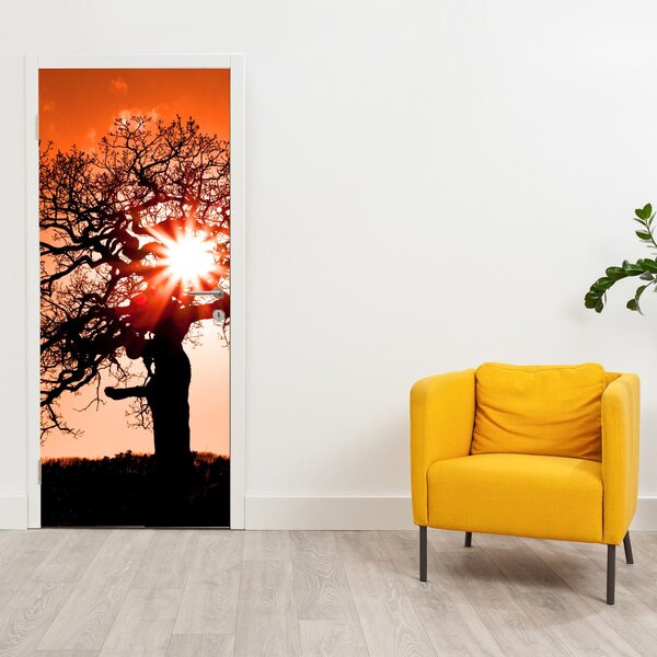 Fototapeta na dveře - Dub při západu slunce (95x205cm)