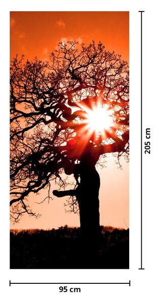 Fototapeta na dveře - Dub při západu slunce (95x205cm)