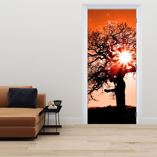 Fototapeta na dveře - Dub při západu slunce (95x205cm)