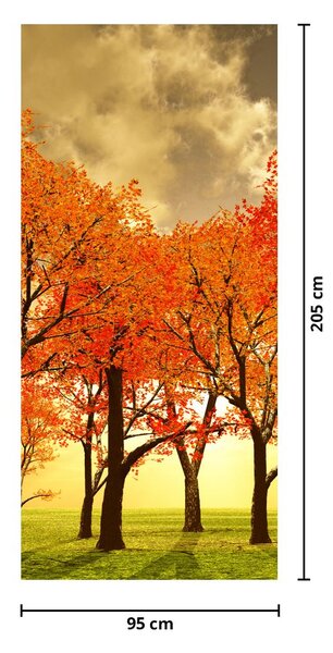 Fototapeta na dveře - Podzim (95x205cm)