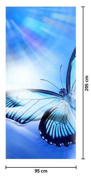 Fototapeta na dveře - Motýl (95x205cm)