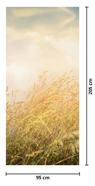 Fototapeta na dveře - Pole na podzim (95x205cm)