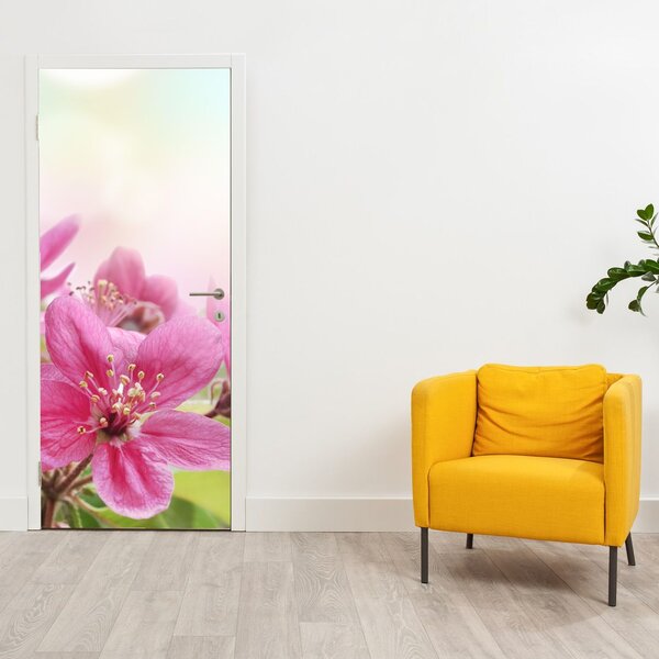 Fototapeta na dveře - Růžové květy (95x205cm)