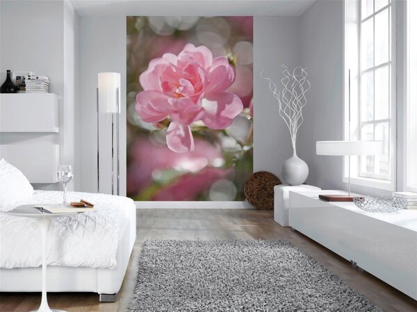 FOTOTAPETA velikost: 184/254 cm - Online Only tapety, Online Only