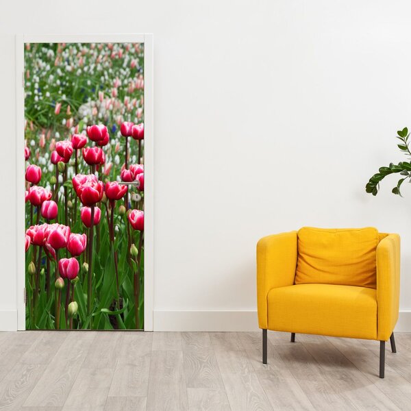 Fototapeta na dveře - Tulipány (95x205cm)