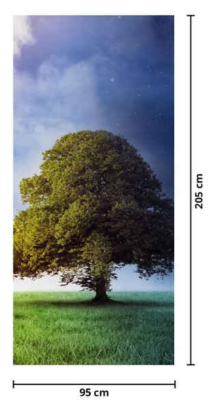 Fototapeta na dveře - Den a noc (95x205cm)