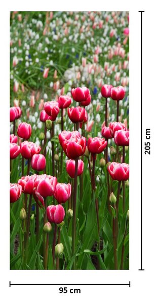Fototapeta na dveře - Tulipány (95x205cm)