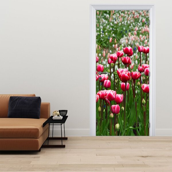 Fototapeta na dveře - Tulipány (95x205cm)