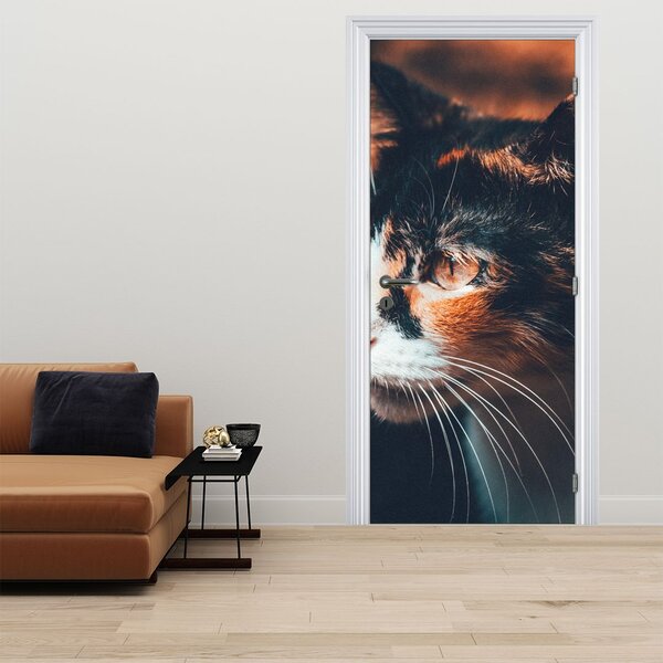 Fototapeta na dveře - Pohled kočky (95x205cm)