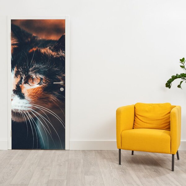 Fototapeta na dveře - Pohled kočky (95x205cm)