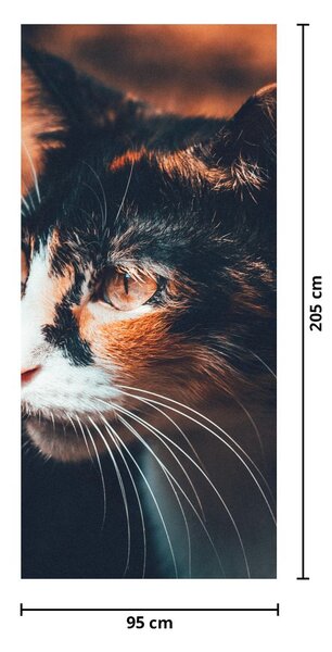 Fototapeta na dveře - Pohled kočky (95x205cm)