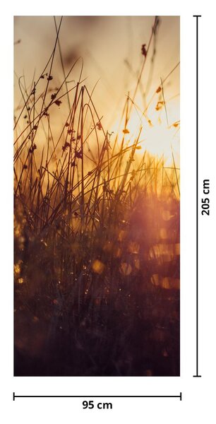 Fototapeta na dveře - Pole při západu slunce (95x205cm)