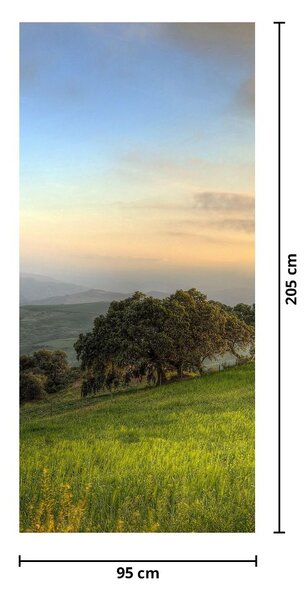 Fototapeta na dveře - Výhled z kopce (95x205cm)