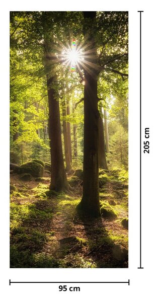 Fototapeta na dveře - Snový les (95x205cm)