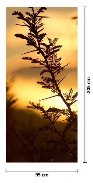 Fototapeta na dveře - Slunce zapadající za stromy (95x205cm)