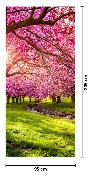 Fototapeta na dveře - Rozkvetlé třešně (95x205cm)